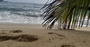 Title image Tayrona Park A Journey through Colombia's jungle paradise / beach view