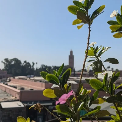 Title image 25 Destinations you should add to your bucket list for 2025