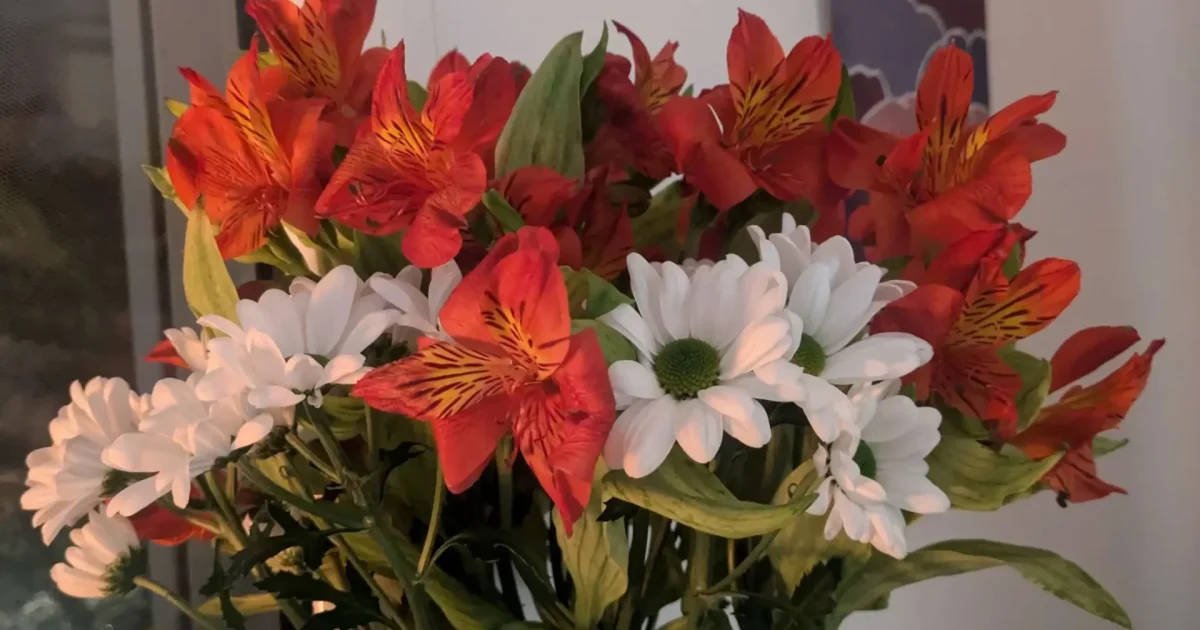 Title Image Burnout isn't a badge of honor